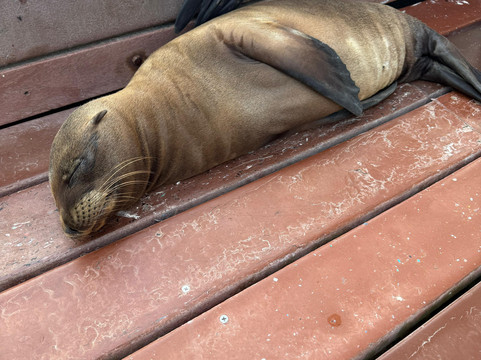 Midland Travel-基多必去景点