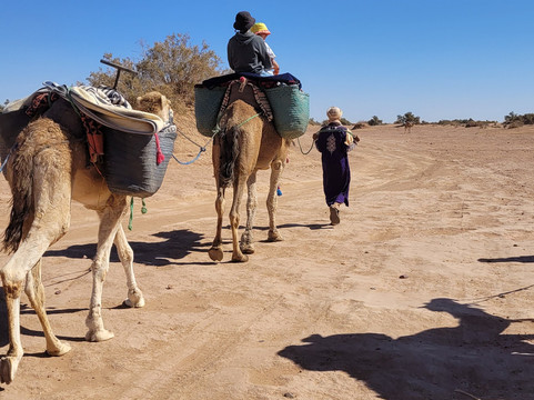 Voyage Désert Maroc-迈哈米德必去景点