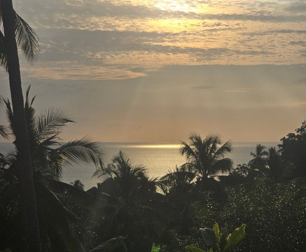 猴子鲜花别墅酒店主图