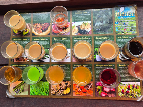 Pratama Bali Tour-沙努尔必去景点