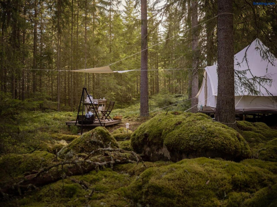 Happie Camp - Hagfors