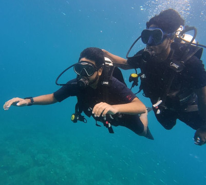 Turquoise Dream-Neil Island必去景点