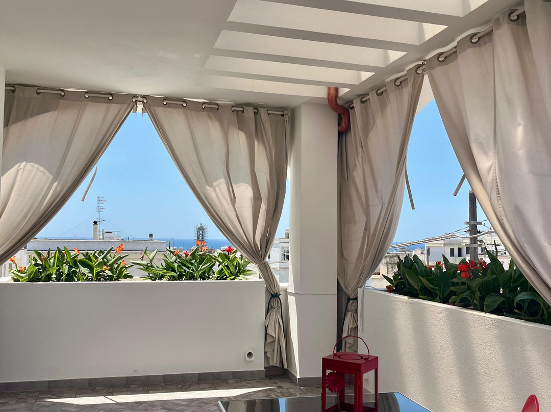 B&B MareIncantato主图