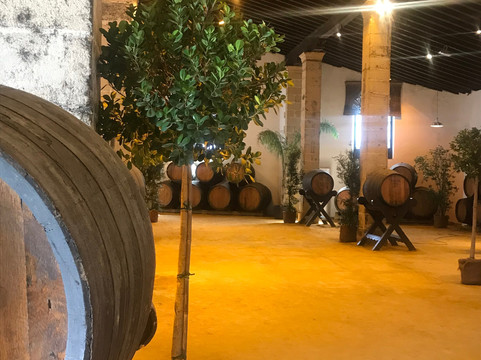 Bodegas Tio Pepe-赫雷斯德拉弗隆特拉必去景点