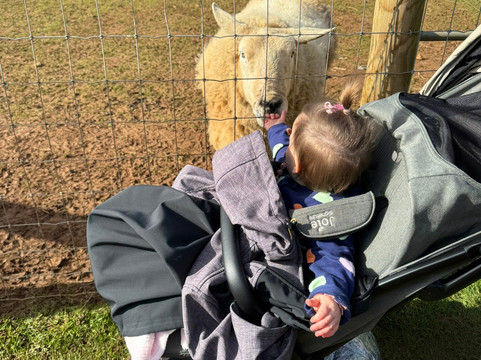 Fairytale Farm-奇平诺顿必去景点