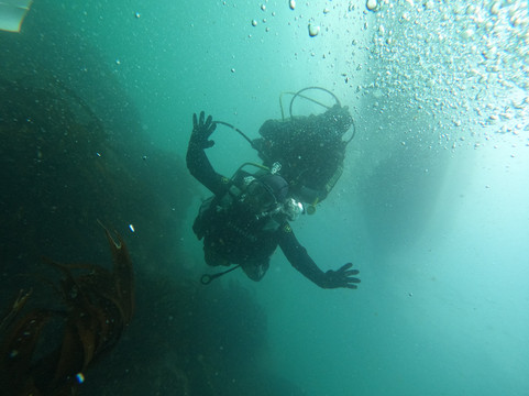 Buceo Quintay-Quintay必去景点