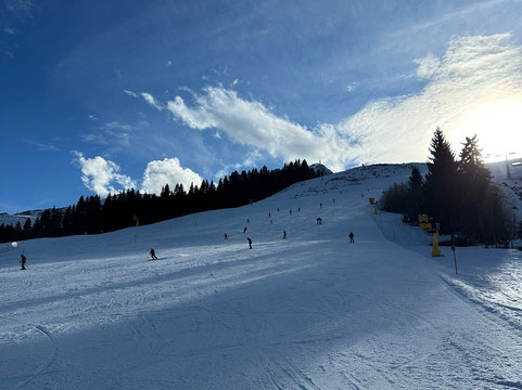 Parallel Skiing-慕尼黑必去景点
