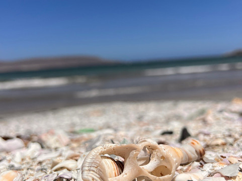 Playa Las Machas-Bahia Inglesa必去景点