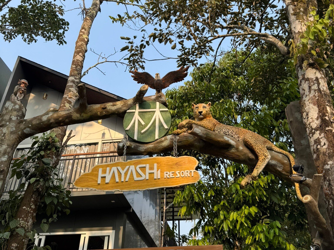 Hayashi Resort