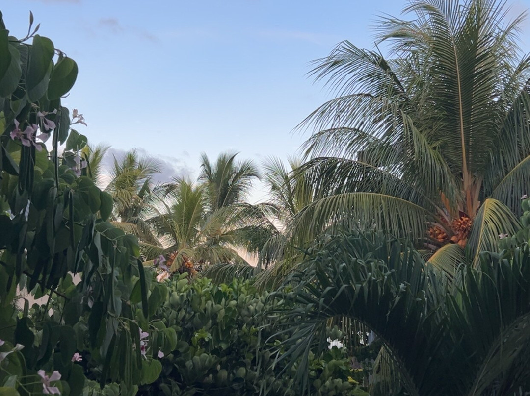 安内莉雅度假村别墅及水疗中心主图