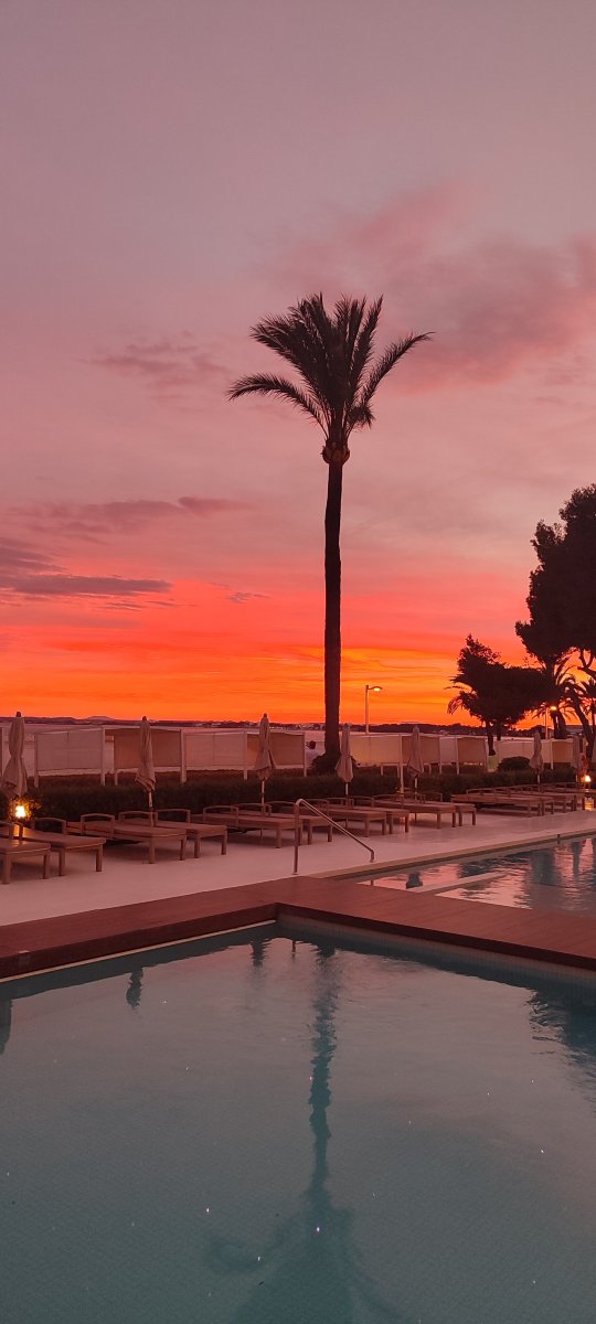 万岁高尔夫 - 限成人-泳池