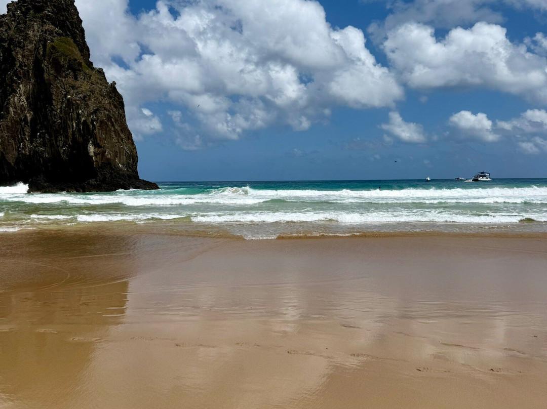 Noronha Tour-费尔南多-迪诺罗尼亚群岛必去景点