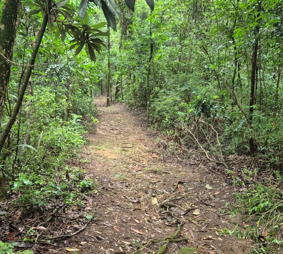 Hotel Quinta Dy Engenho主图