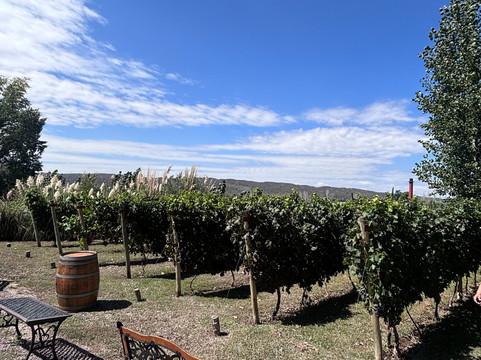 RJ Vinedos-路冉得库约必去景点