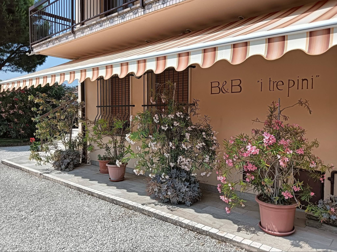 B&b I Tre Pini主图