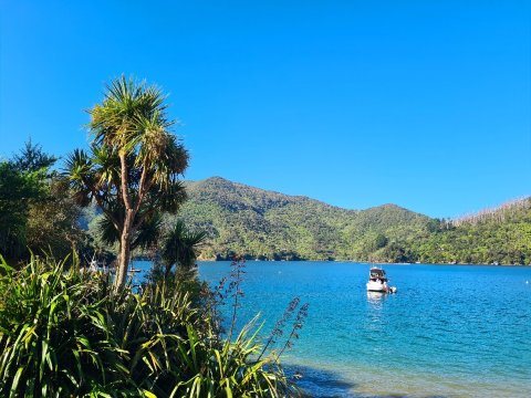 洛克马拉旅舍-官方