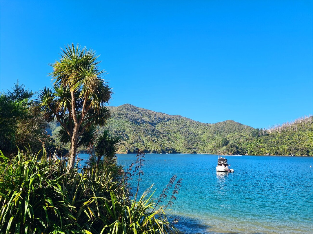 洛克马拉旅舍主图