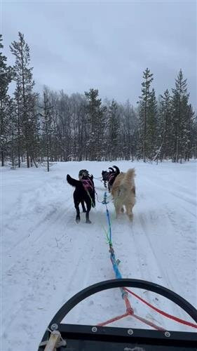 伊纳里远足之旅-伊纳里必去景点