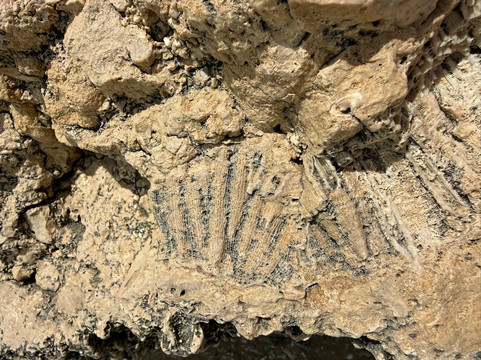 Bang On Tours-赫尔格达必去景点