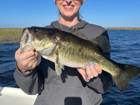 Roland Martin Marina & Resort主图