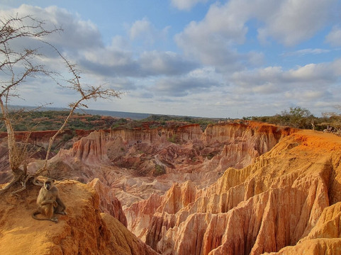 Scopri il Kenya con Nicholas-瓦塔木必去景点