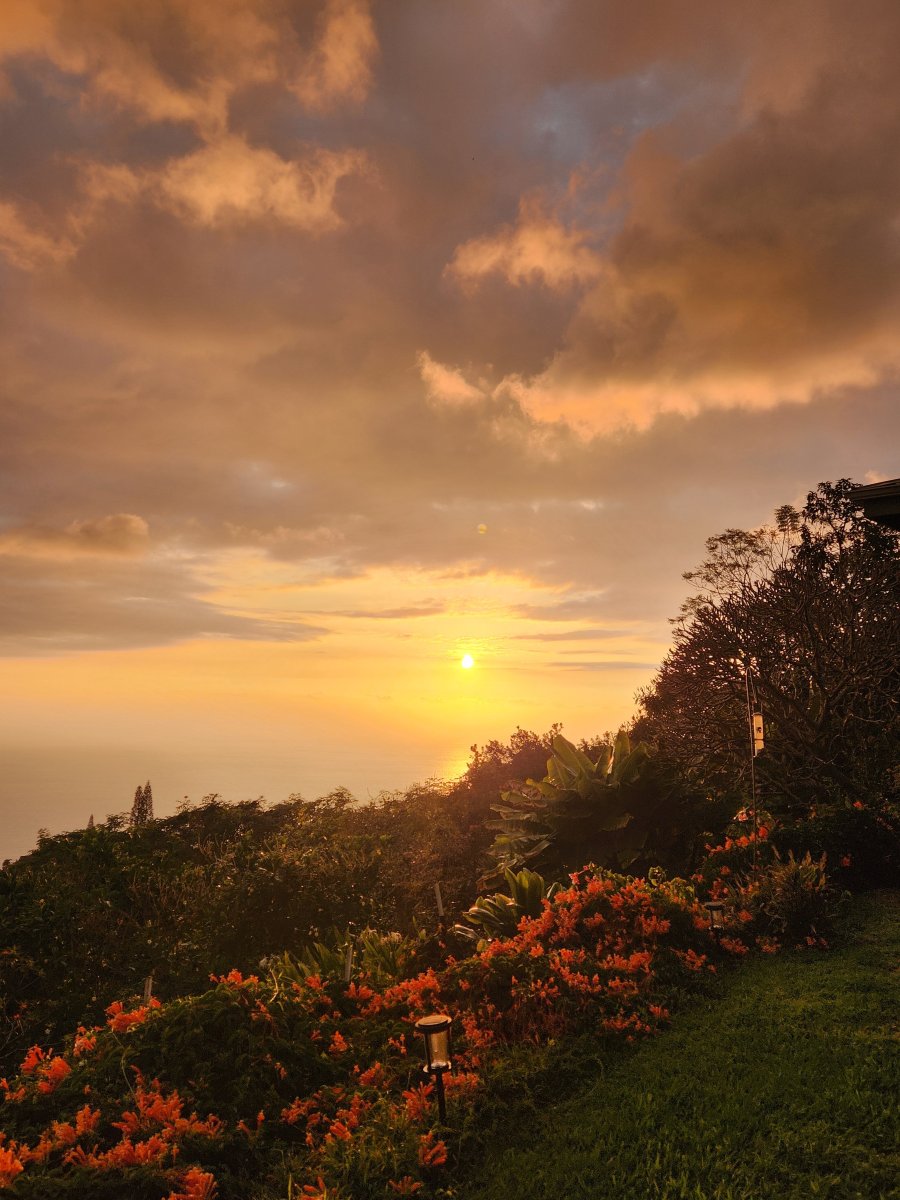 Belle Vue Kona Inc-酒店景观