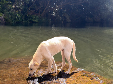 Les 7瀑布-黑河必去景点