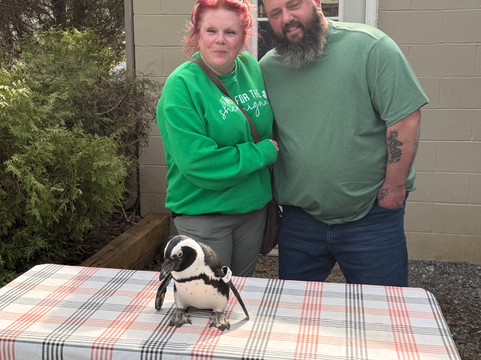 弗吉尼亚游猎公园-天然桥必去景点