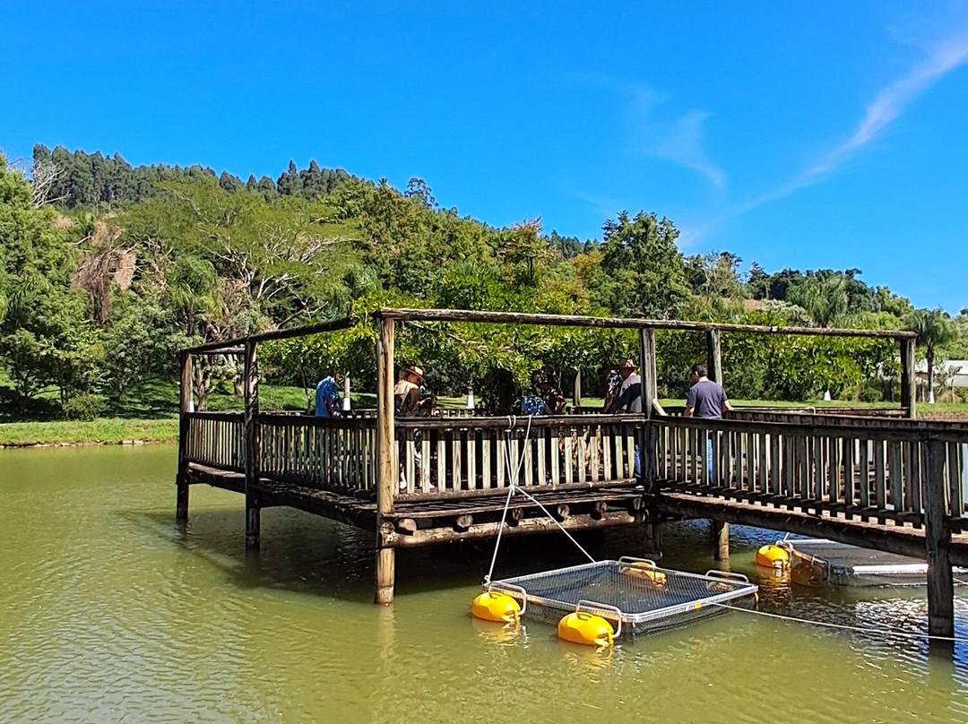 Valparaiso Vinhos E Vinhedos-Barao必去景点