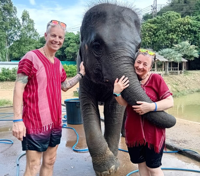 Kerchor Elephant Family Phuket-卡图必去景点