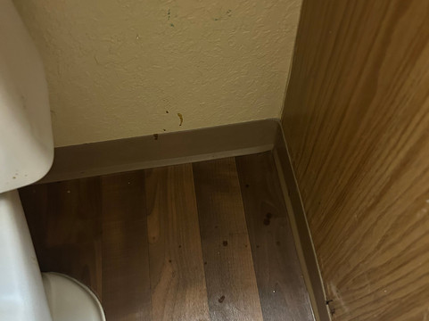 劳德代尔堡 - 戴维 - 美国长住酒店主图