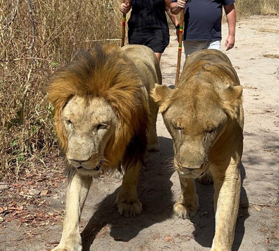 Happy Excursions Senegal-莫布瓦必去景点