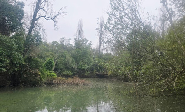 库里亚托马斯酒店主图