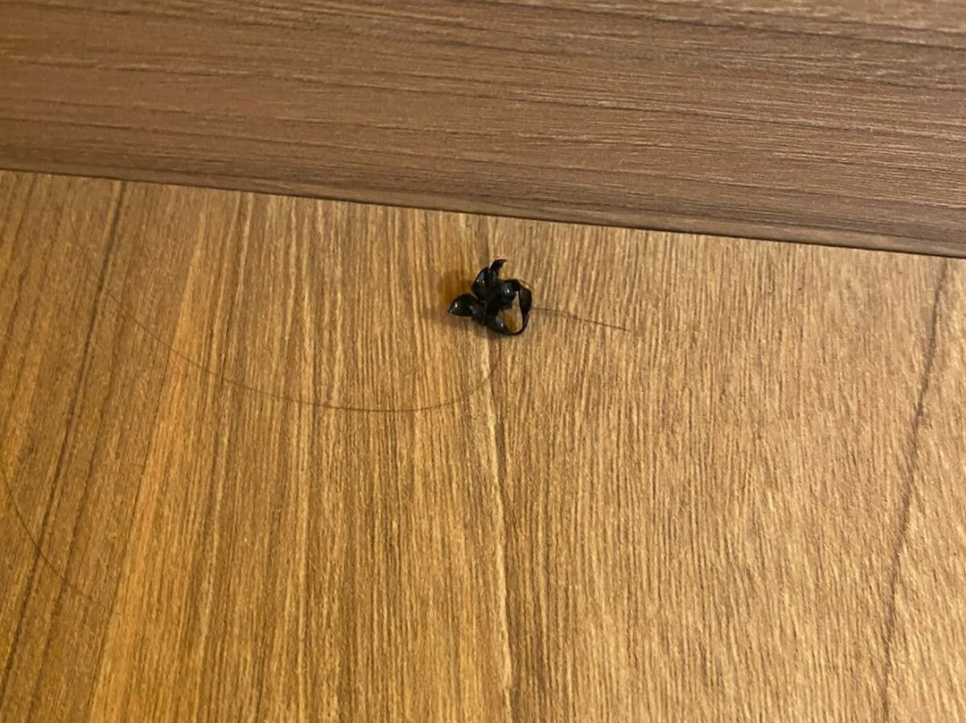 宜必思快捷法罗皮利亚酒店主图