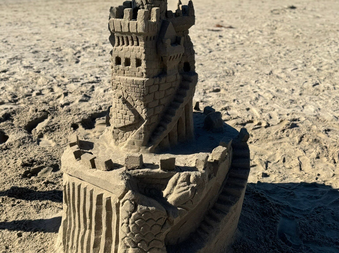 San Diego Sand Castles-圣地亚哥必去景点
