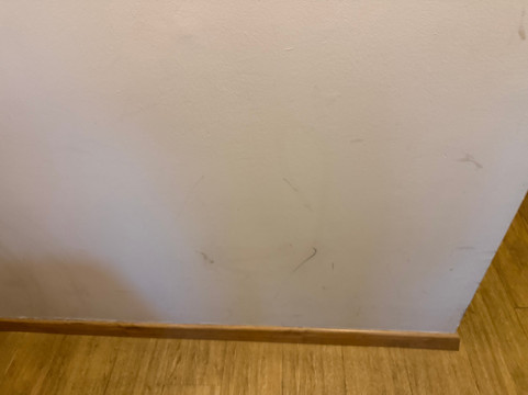 佳兰特酒店主图