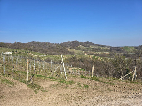 Travaglini-Gattinara必去景点