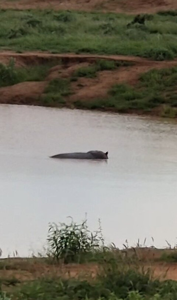 Safari po naszemu-内罗毕必去景点