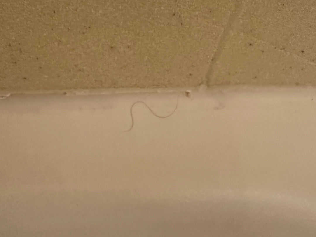 韦斯特福德切姆斯福德欢朋套房酒店主图