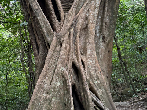 Adventours Costa Rica-Playa Flamingo必去景点
