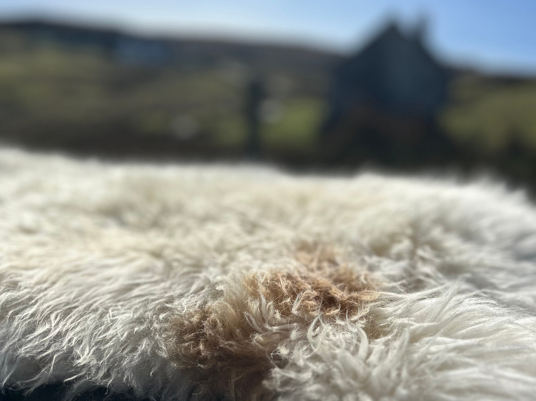 Gift Shop sheepskins skye-Glendale必去景点