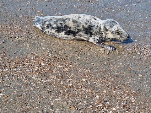 弗莱彻斯特兰德酒店航司蒂主图
