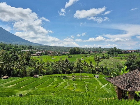 Bali Tropical Island Tours-库塔必去景点