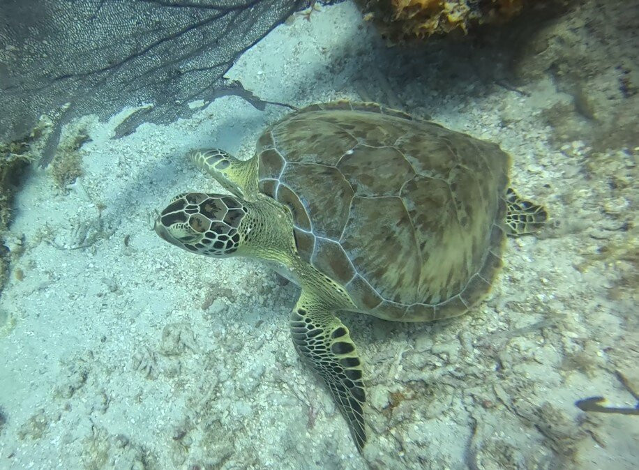 Scubafun-Bayahibe必去景点
