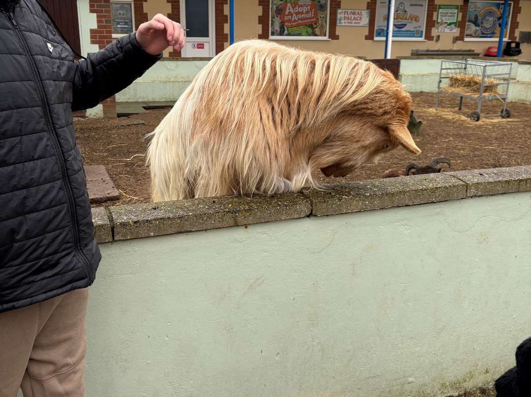 Natureland Seal Sanctuary-斯凯格内斯必去景点