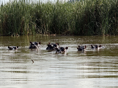 Aventure Safaris-蒙巴萨必去景点