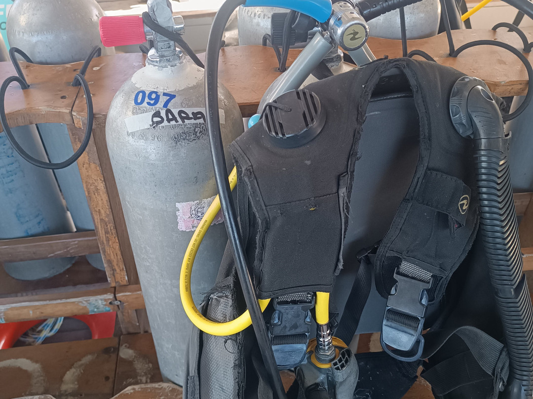 Narwhal-伊利亚贝拉必去景点