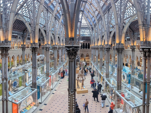 牛津大学自然历史博物馆-牛津必去景点