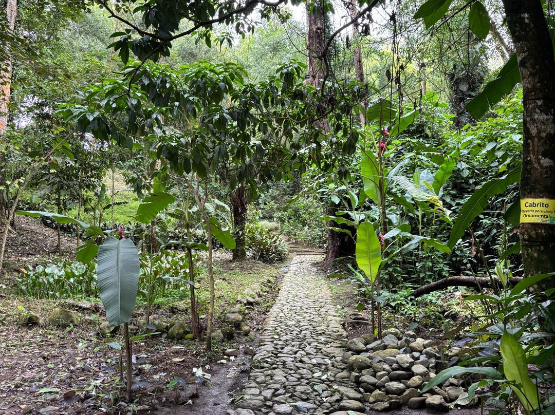 Jardin Botanico Alejandro Humboldt-Marsella必去景点