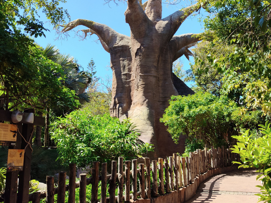 Bioparc Fuengirola-福恩吉罗拉必去景点